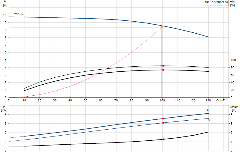 Curva di prestazione NK 100-280/256