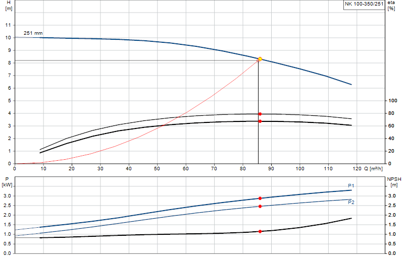 Curva di prestazione NK 100-350/251