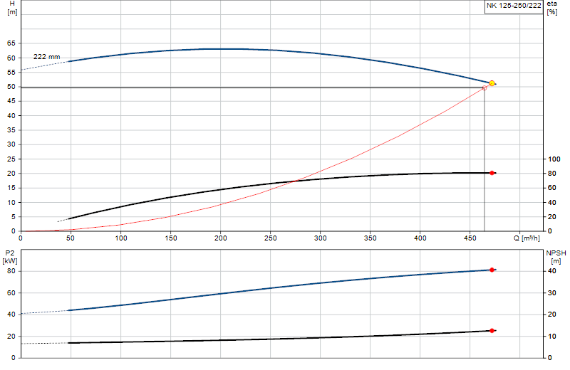 Curva di prestazione NK 125-250/222