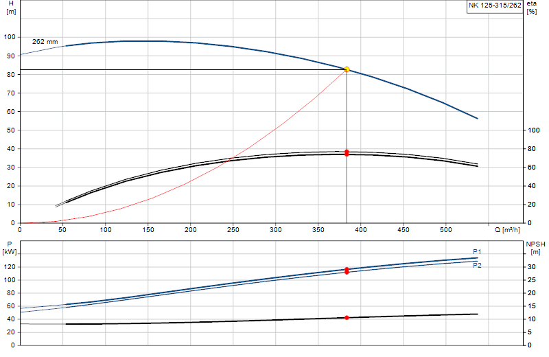 Curva di prestazione NK 125-315/262