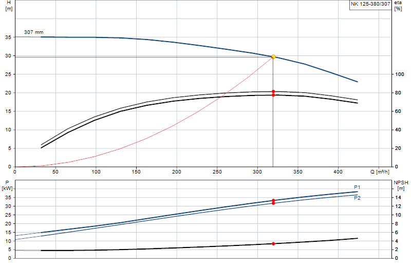Curva di prestazione NK 125-380/307