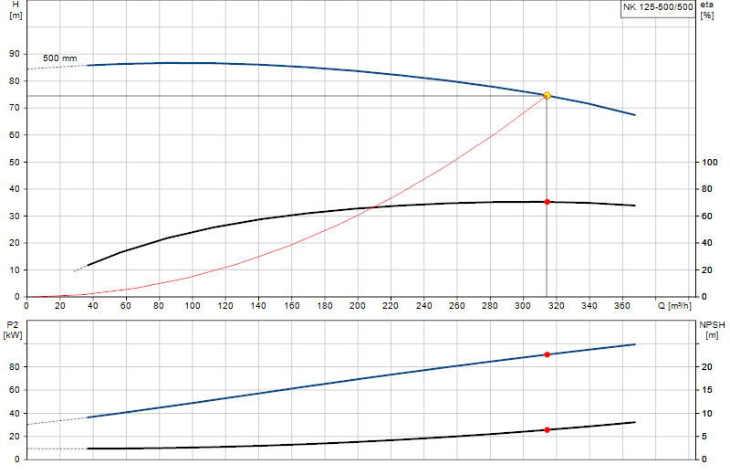 Curva di prestazione NK 125-500/500