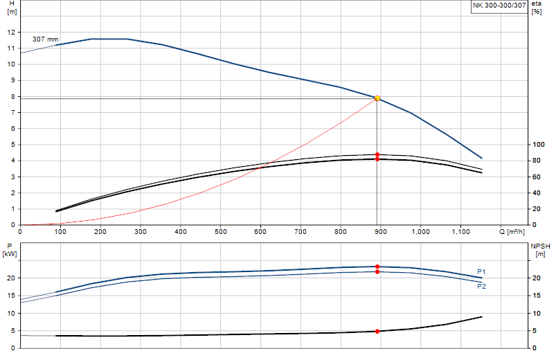 Curva di prestazione NK 300-300/307