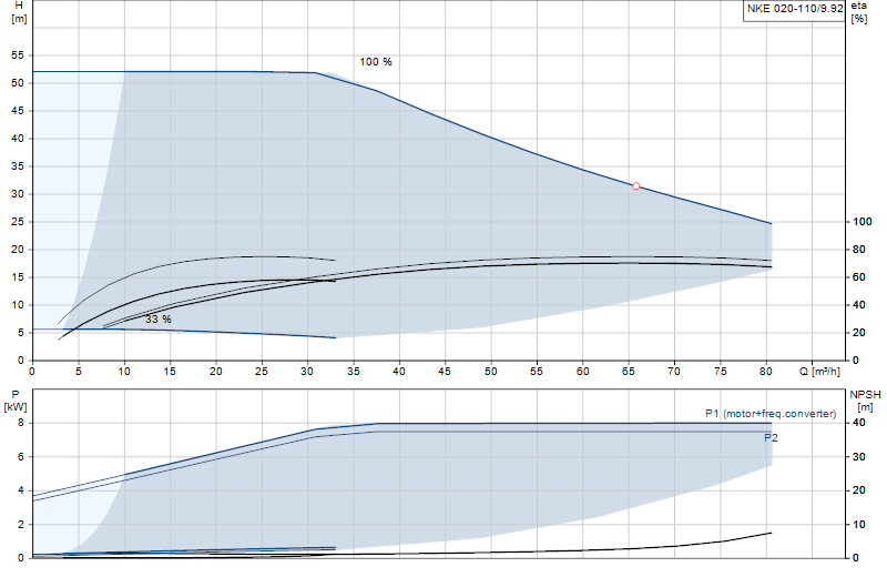 Curva di prestazione NKE 020-110/9.92