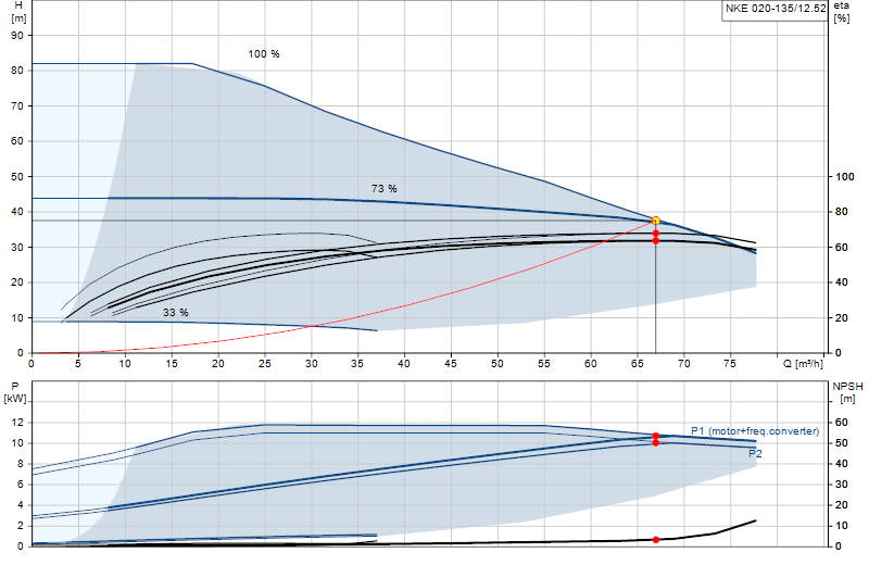 Curva di prestazione NKE 020-135/12.52