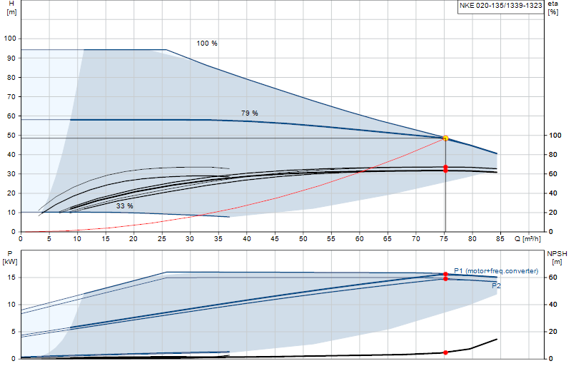 Curva di prestazione NKE 020-135/1339-1323