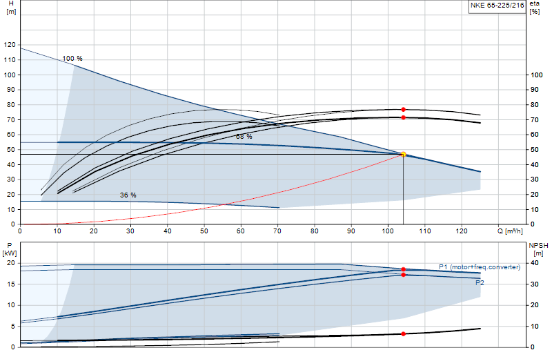 Curva di prestazione NKE 65-225/216
