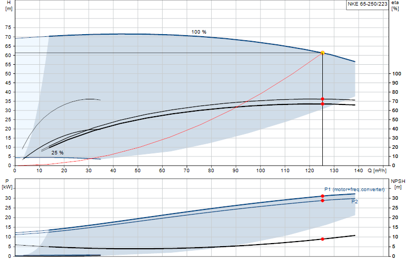 Curva di prestazione NKE 65-250/223