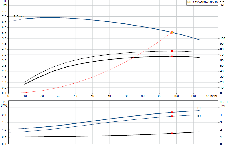 Curva di prestazione NKG 125-100-250/216