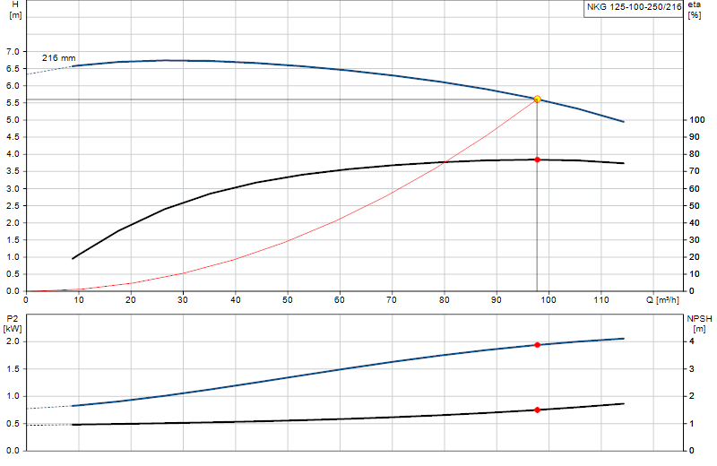 Curva di prestazione NKG 125-100-250/216
