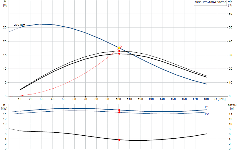 Curva di prestazione NKG 125-100-250/230
