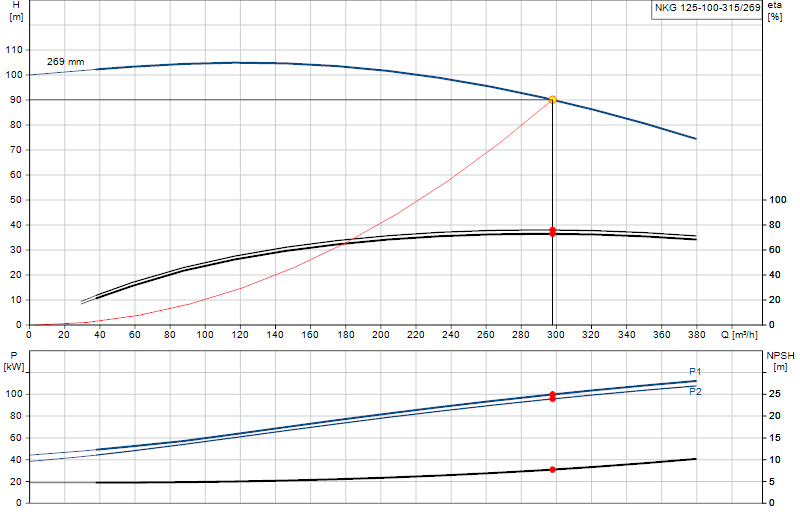 Curva di prestazione NKG 125-100-315/269