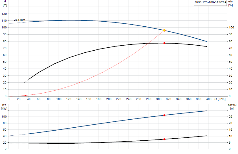 Curva di prestazione NKG 125-100-315/284