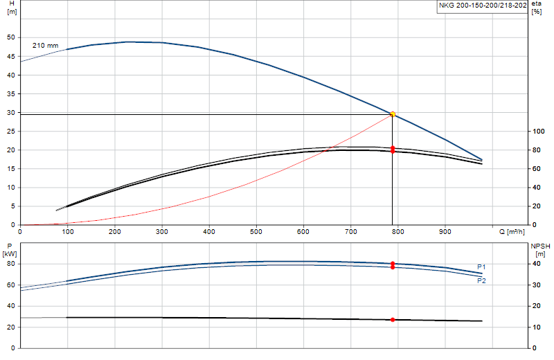Curva di prestazione NKG 200-150-200/218-202