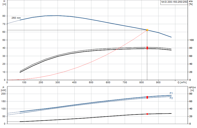 Curva di prestazione NKG 200-150-250/250