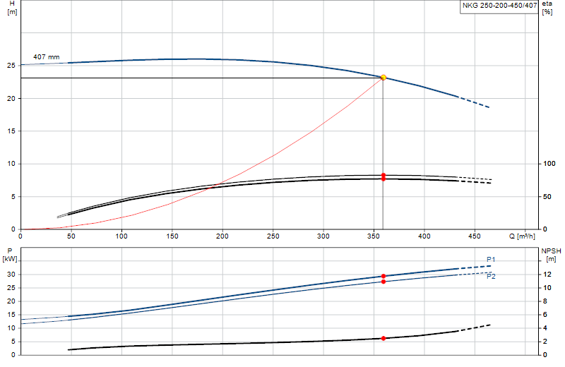 Curva di prestazione NKG 250-200-450/407