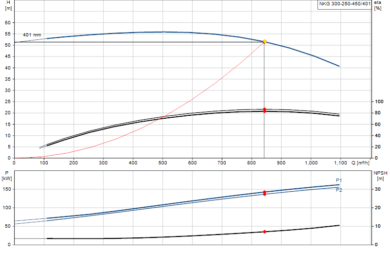 Curva di prestazione NKG 300-250-450/401