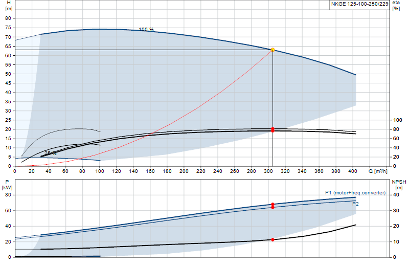 Performance curve NKGE 125-100-250/229