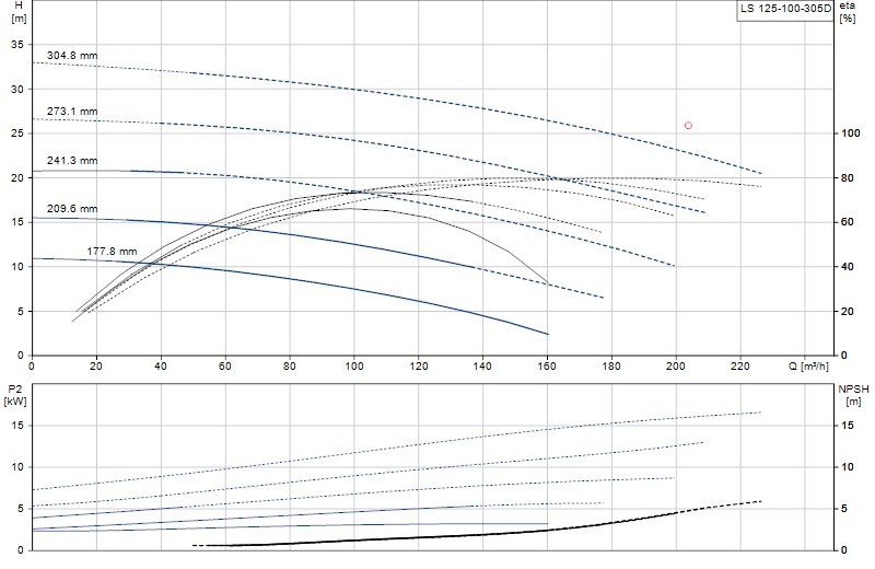 Curva di prestazione LS 125-100-305D